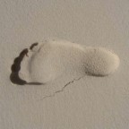 strandläufers Avatar