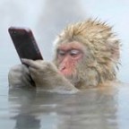 Ronald53s Avatar