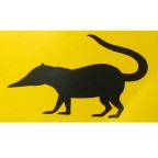 Nasuas Avatar