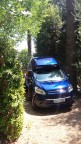 BlueBeasts Avatar